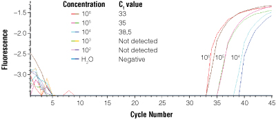 Real-time PCR of extracted DNA from 106-102 B. anthracis cells. 
